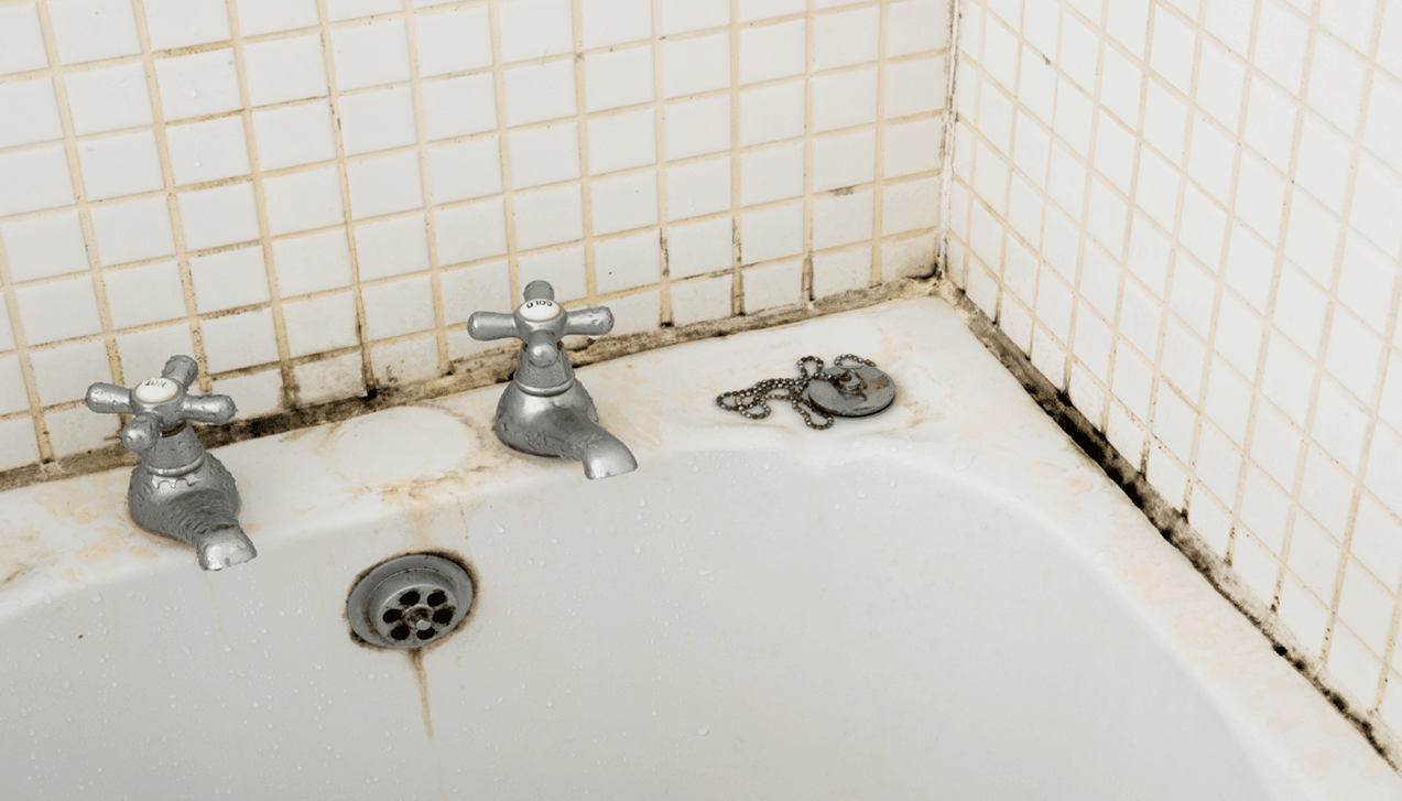 Black Mold From Shower Silicone, How To Remove Mildew From Bathtub