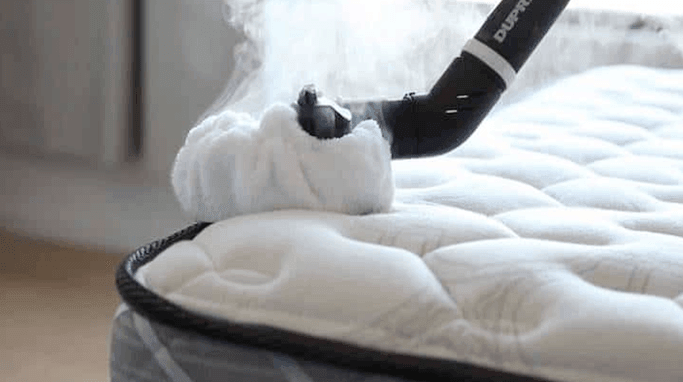 Best Steam Cleaner for Bed Bugs