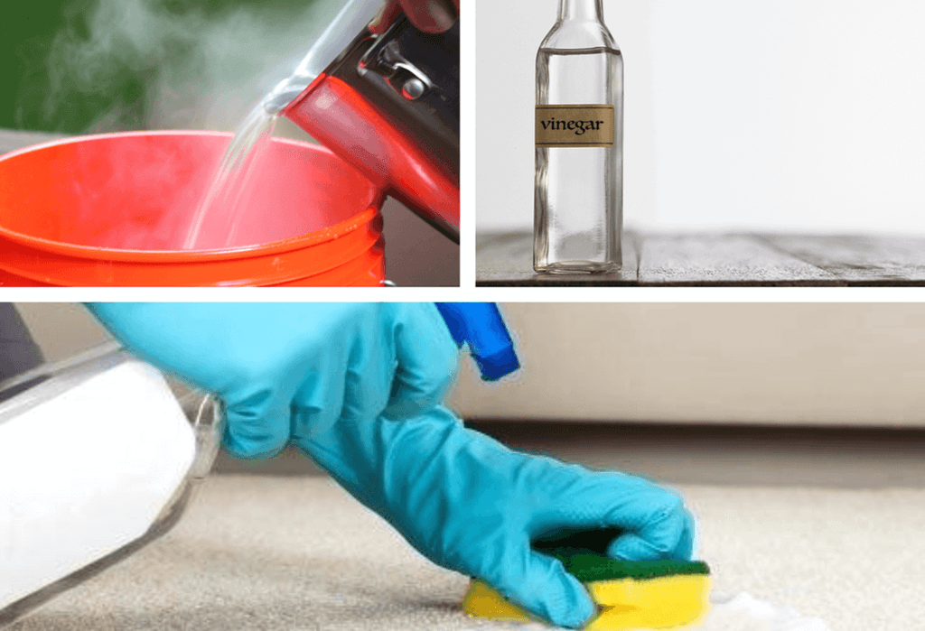 How to Disinfect Carpet without Steam Cleaner