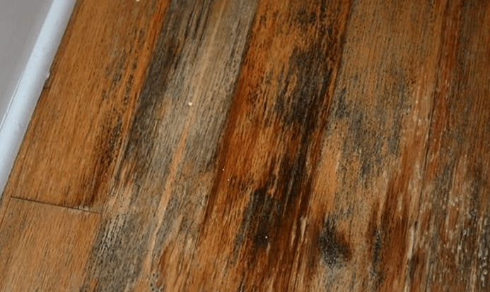 How To Remove Black Water Stains From, How To Remove Dark Urine Stains From Hardwood Floors