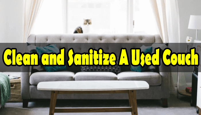 How to Clean and Sanitize A Used Couch