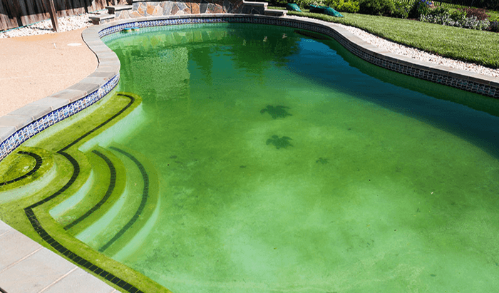 How to Get Algae Out of Pool Without a Vacuum