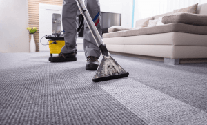 How to Use a Shop Vac on Wet Carpet