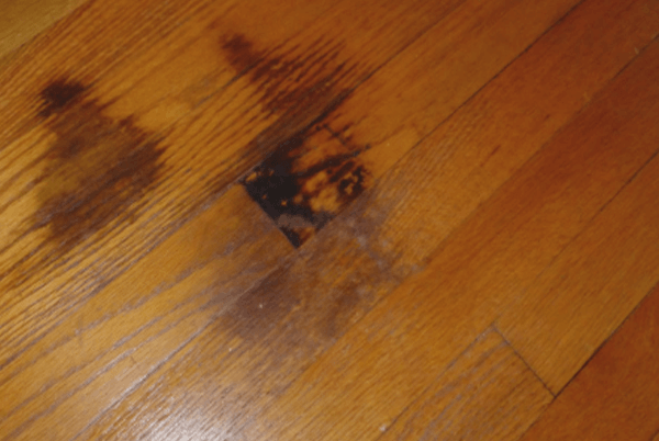 How To Remove Black Urine Stains From, Repair Hardwood Floors Dog Urine