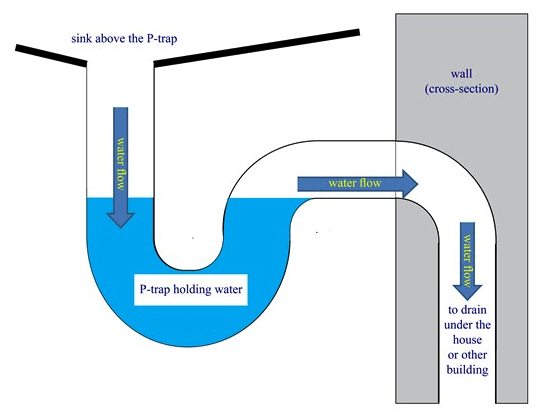 Evaporation of Water in the P-Trap
