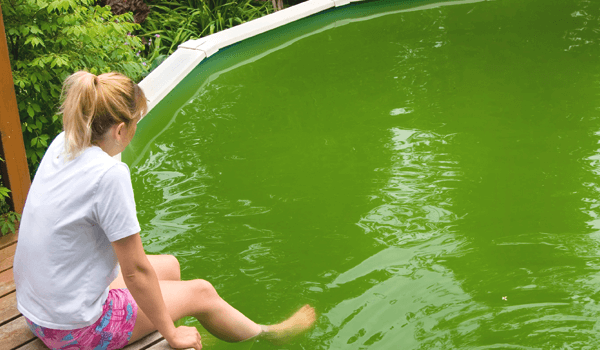 Can You Swim in a Green Pool
