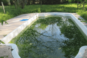 How to Clean a Pool That Has Been Sitting