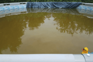 How to Get Brown Pool Water Clear