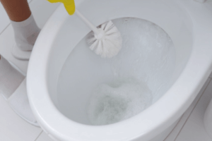 How to Remove Blue Stains from Toilet Seat