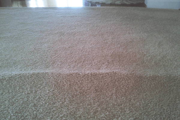 How to Remove Wrinkles Out of Carpet without a Stretcher