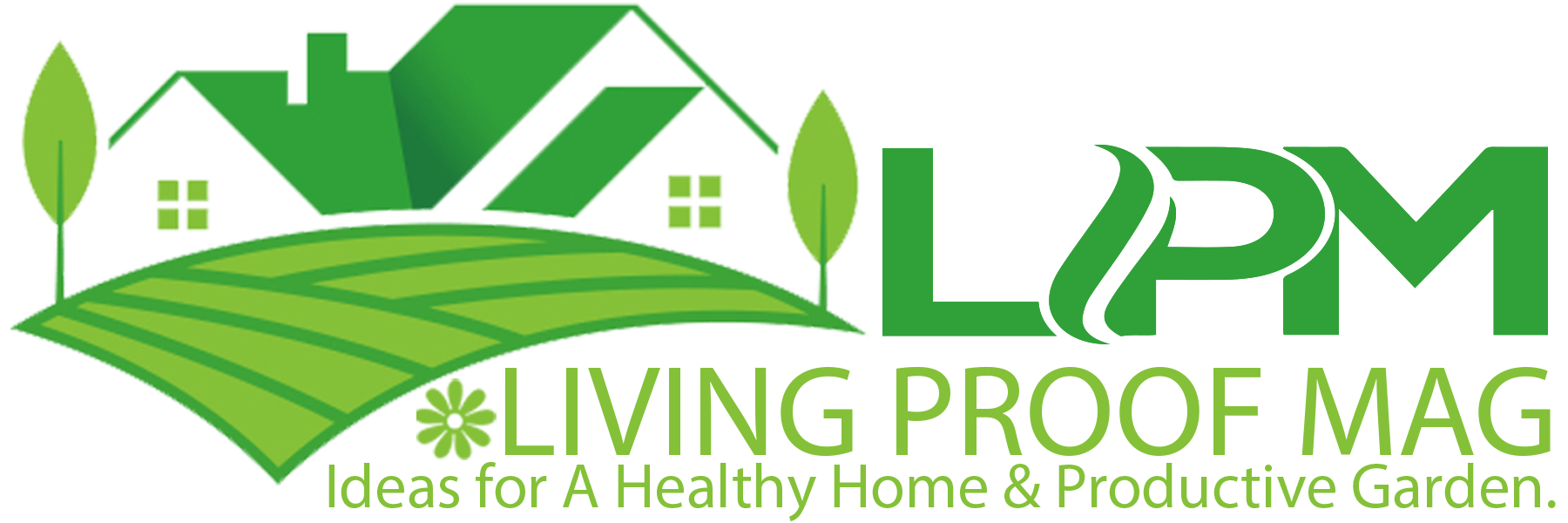 Roof Felt Paper 15 vs. 30 Which is Better? LivingProofMag