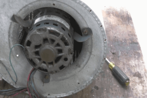 How to Remove Blower Motor from Squirrel Cage