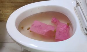 How to Unclog a Toilet Full Of Poop and Water