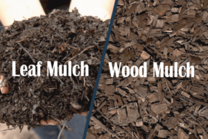 Leaf Mulch vs Wood Mulch
