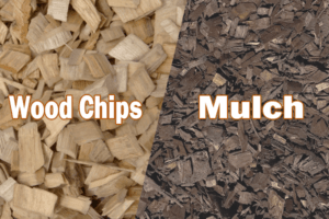 Wood Chips Vs Mulch