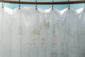 How to Clean Shower Curtain Mold