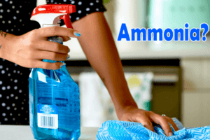 Does Windex Contain Ammonia