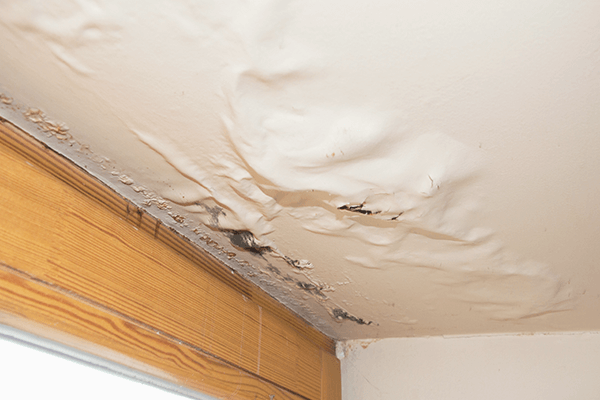 Water Damage Clean Up And Restoration